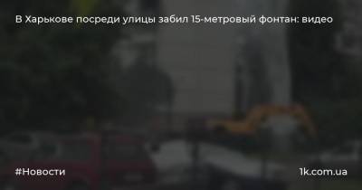 В Харькове посреди улицы забил 15-метровый фонтан: видео