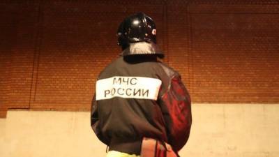 Видео: крупный пожар произошел на цементном заводе в Москве