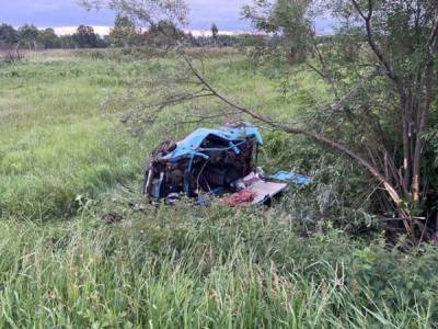 В Тюменской области водитель, устроивший аварию, в которой пострадали четверо детей, был пьян