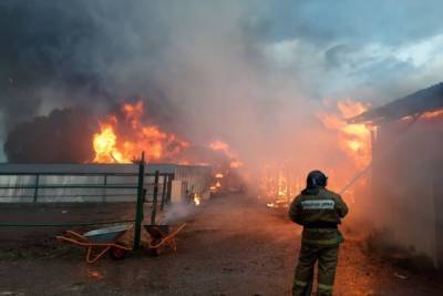 В Тульской области за минувшие сутки в пожарах пострадали 2 человека