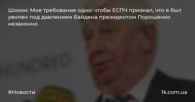 Шокин: Мое требование одно: чтобы ЕСПЧ признал, что я был уволен под давлением Байдена президентом Порошенко незаконно