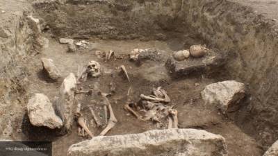 Захоронение знатного человека бронзового века найдено в Краснодарском крае