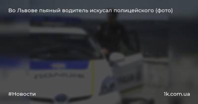Во Львове пьяный водитель искусал полицейского (фото)