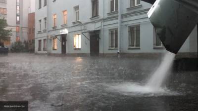 Ливень и порывистый ветер обрушатся на Петербург в выходные