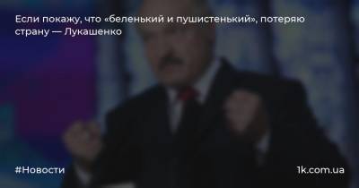 Если покажу, что «беленький и пушистенький», потеряю страну — Лукашенко