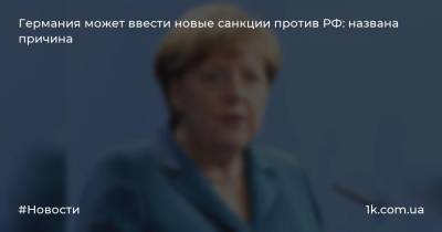 Германия может ввести новые санкции против РФ: названа причина
