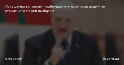 Лукашенко попросил «заблудших» участников акций не ставить его перед выбором