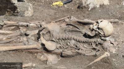 Ритуальное погребение возрастом в тысячи лет обнаружили на Кубани