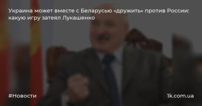 Украина может вместе с Беларусью «дружить» против России: какую игру затеял Лукашенко