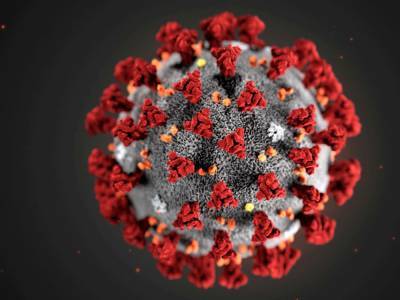 Эксперт сообщил о сроках появления вакцины против коронавируса