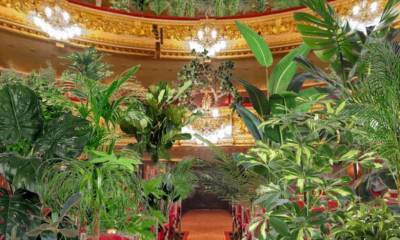 Испанский оперный театр даст концерт для более двух тысяч растений
