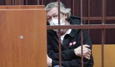 Психиатрическая экспертиза признала Михаила Ефремова вменяемым