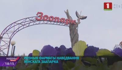 Животных и птиц в Минском зоопарке переводят в летние "квартиры"
