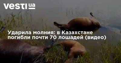 Ударила молния: в Казахстане погибли почти 70 лошадей (видео)