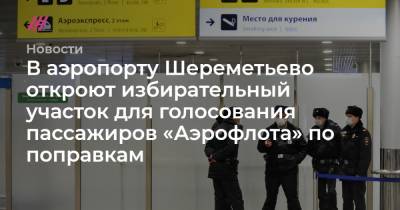 В аэропорту Шереметьево откроют избирательный участок для голосования пассажиров «Аэрофлота» по поправкам