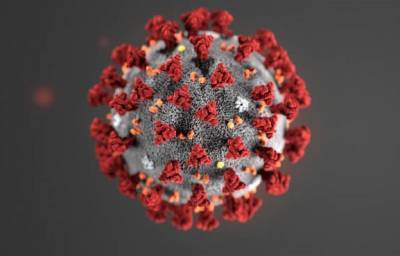 Количество больных коронавирусом в мире приближается к 9 миллионам