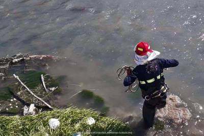 Спасатели и водолазы ищут пропавшего футболиста близ Мцхета
