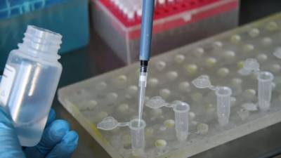 В ФРГ у более 1000 сотрудников мясокомбината выявили коронавирус