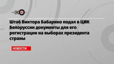 Штаб Виктора Бабарико подал в ЦИК Белоруссии документы для его регистрации на выборах президента страны