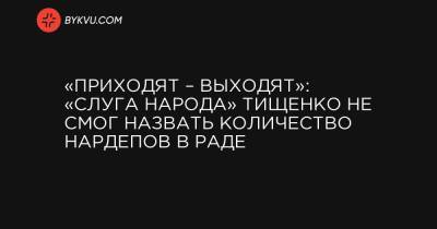 «Приходят – выходят»: «слуга народа» Тищенко не смог назвать количество нардепов в Раде