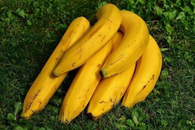 Названы продукты, которые категорически нельзя есть с бананами