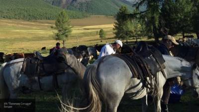 Разряд молнии убил 69 лошадей в Казахстане