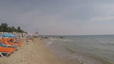 Украинские курорты заполнили опасные медузы: куда эксперты советуют не ехать