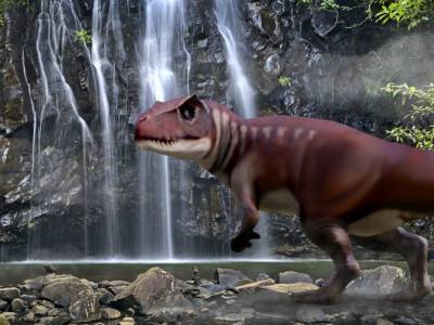 Ученые говорят: в Австралии обитал «собрат» тираннозавра