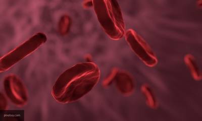 Ученые в США нашли связь между группой крови и реакцией организма на COVID-19