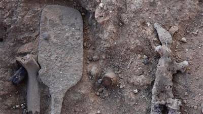 Уникальный «скипетр бога» нашли израильские археологи