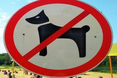 В Ясногорске собака покусала 4-летнего ребенка