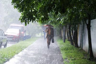 Москвичей предупредили о грозе и сильном дожде утром в воскресенье