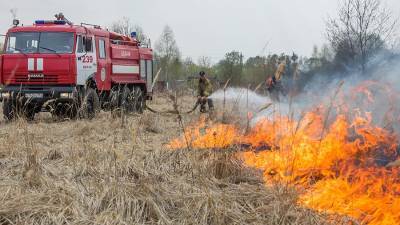 Более 66% пожаров в России возникали на открытых территориях