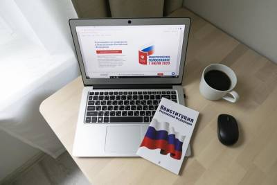 Политолог Дмитрий Бадовский отметил привлекательность онлайн-голосования среди молодежи
