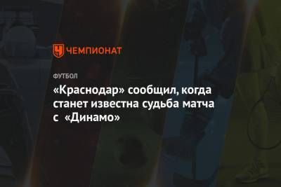 «Краснодар» сообщил, когда станет известна судьба матча с «Динамо»