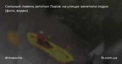 Сильный ливень затопил Львов: на улицах заметили лодки (фото, видео)