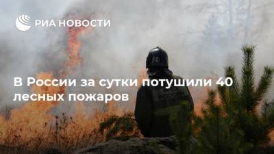 В России за сутки потушили 40 лесных пожаров
