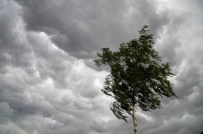 МЧС предупреждает о штормовом ветре