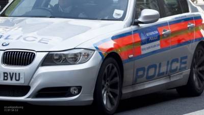 Полиция Великобритании расценивает поножовщину в Рединге как теракт