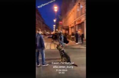 Петербургская молодежь массово вышла на улицы после карантина
