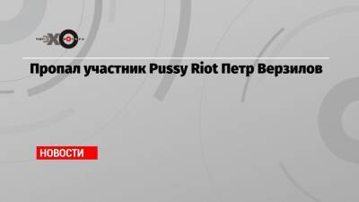 Пропал участник Pussy Riot Петр Верзилов