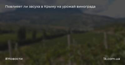 Повлияет ли засуха в Крыму на урожай винограда
