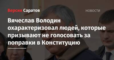 Вячеслав Володин охарактеризовал людей, которые призывают не голосовать за поправки в Конституцию