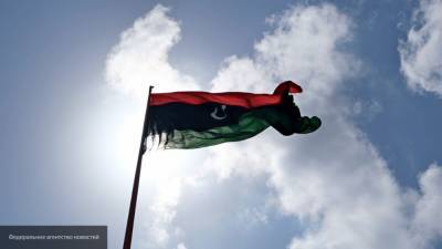 Инициативу Египта по урегулированию кризиса в Ливии поддержали в США, ОАЭ и Бахрейне
