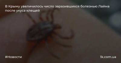 В Крыму увеличилось число заразившихся болезнью Лайма после укуса клещей