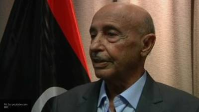 Спикер Палаты представителей Ливии оценил идеи президента Египта по помощи ливийцам