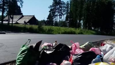 Жители Ленобласти жалуются на мусор недалеко от Новосаратовки
