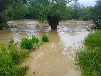 В Черновицкой области после обильного дождя вышла из берегов река: затопило часть села