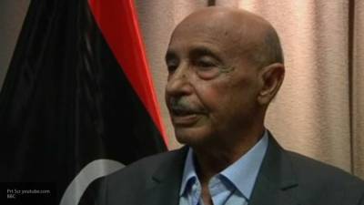 Агила Салех одобрил заявление Египта о помощи ливийцам