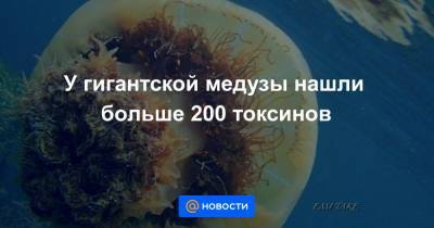 У гигантской медузы нашли больше 200 токсинов